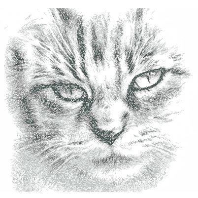 More information about "Drawing cat face free embroidery design"