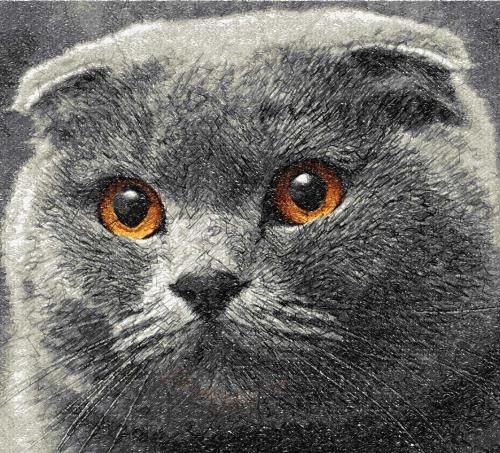 More information about "British cat photo stitch free embroidery design 2"