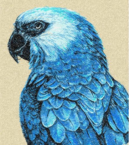 More information about "Parrot photo stitch free embroidery design 3"