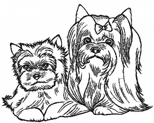 More information about "Yorkshire Terrier free embroidery design 5"