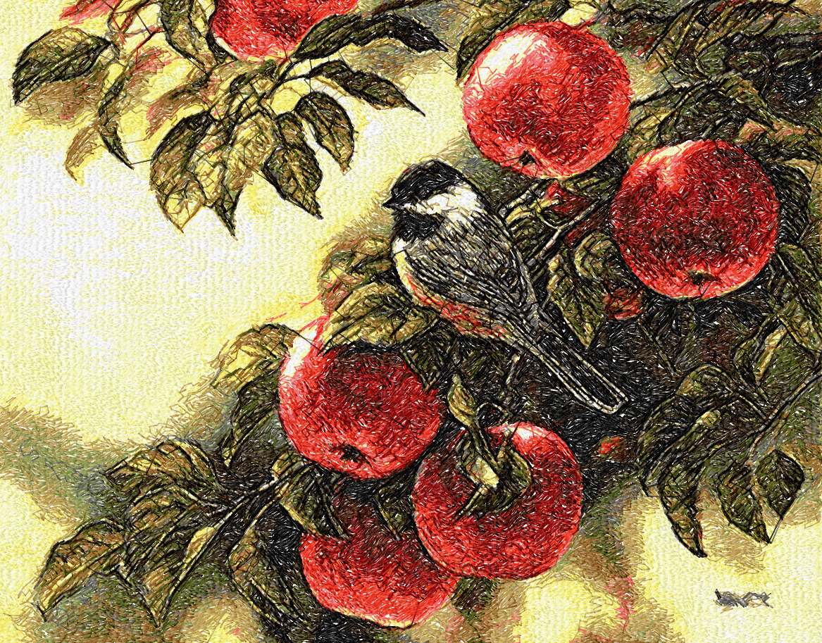 Apples photo stitch free embroidery design
