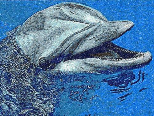 More information about "Dolphin photo stitch free embroidery design 2"