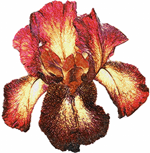 More information about "Iris photo stitch free embroidery design 4"