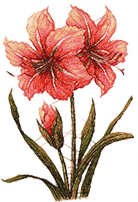 Lily photo stitch free embroidery 6 - Free embroidery designs links and ...