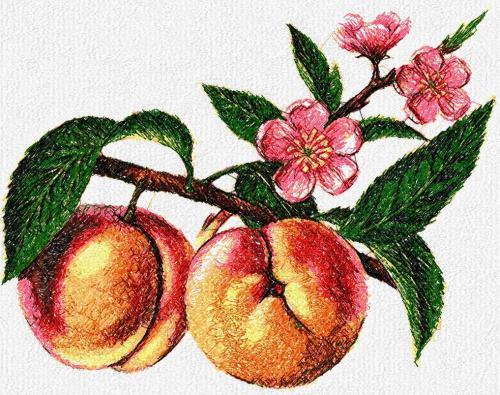 More information about "Peach photo stitch free embroidery design"
