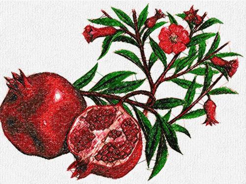 More information about "Pomegranate photo stitch free embroidery design"
