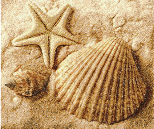 More information about "Sea shell photo stitch free embroidery design"