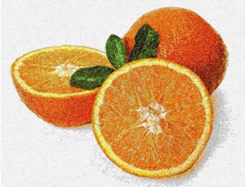 More information about "Orange photo stitch free embroidery design"