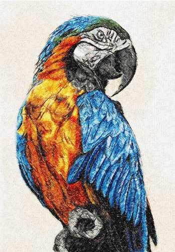 More information about "Parrot photo stitch free embroidery design 11"