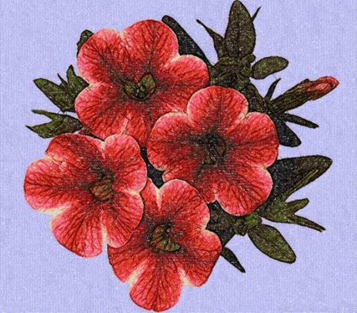 More information about "Petunias photo stitch free embroidery design"