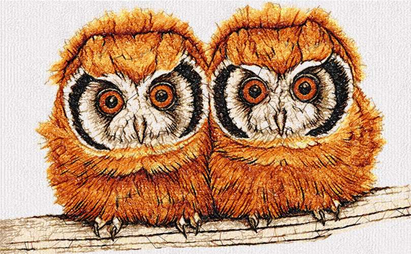 Download Two cute little owls photo stitch free embroidery design ...
