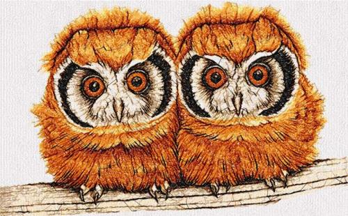 More information about "Two cute little owls photo stitch free embroidery design"