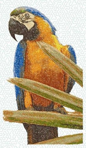 More information about "Parrot photo stitch free embroidery design 6"