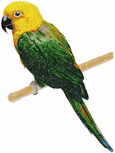 More information about "Parrot photo stitch free embroidery design 7"