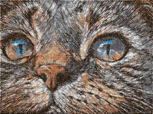 More information about "Cat photo stitch free embroidery design 17"