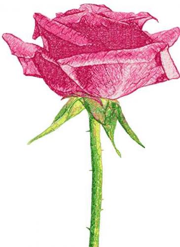 More information about "Rose photo stitch free embroidery design 11"