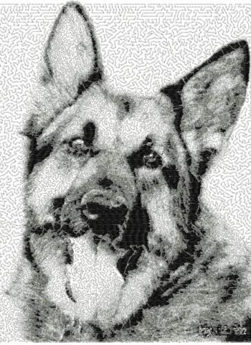 More information about "German Shepherd photo stitch free embroidery design 3"