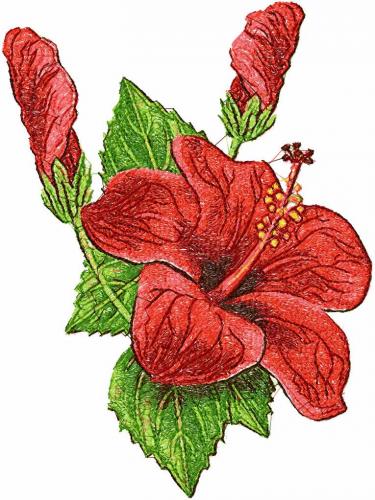 More information about "Hibiscus  photo stitch free embroidery design 3"