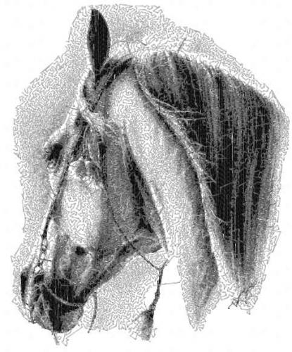 More information about "Horse photo stitch free embroidery design 12"