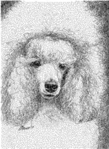 More information about "Poodle photo stitch free embroidery design 2"