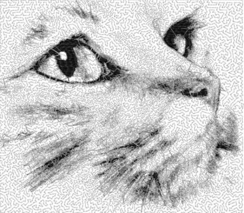 More information about "Cat photo stitch free embroidery design 18"