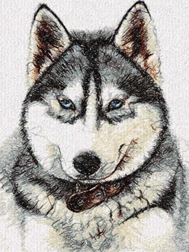 More information about "Huskies photo stitch free embroidery design 3"