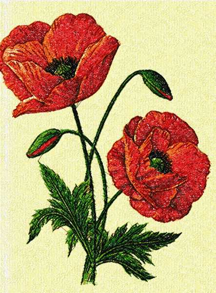 Poppies photo stitch free embroidery design 8 - Free embroidery designs ...