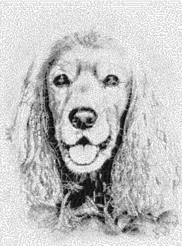 More information about "Spaniel photo stitch free embroidery design 3"