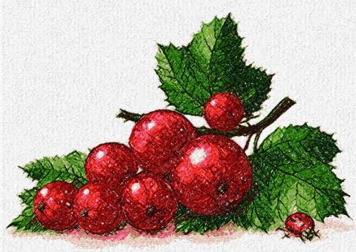 More information about "Currant photo stitch free embroidery design"