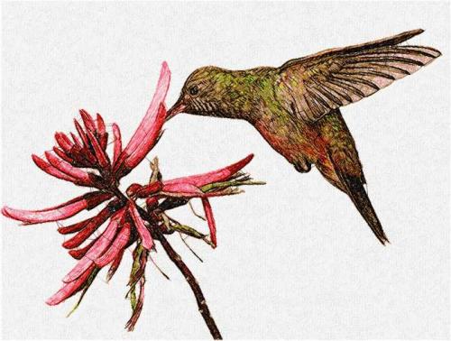 More information about "Hummingbird with flower photo stitch free embroidery design"