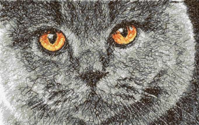 British cat photo stitch free machine embroidery design