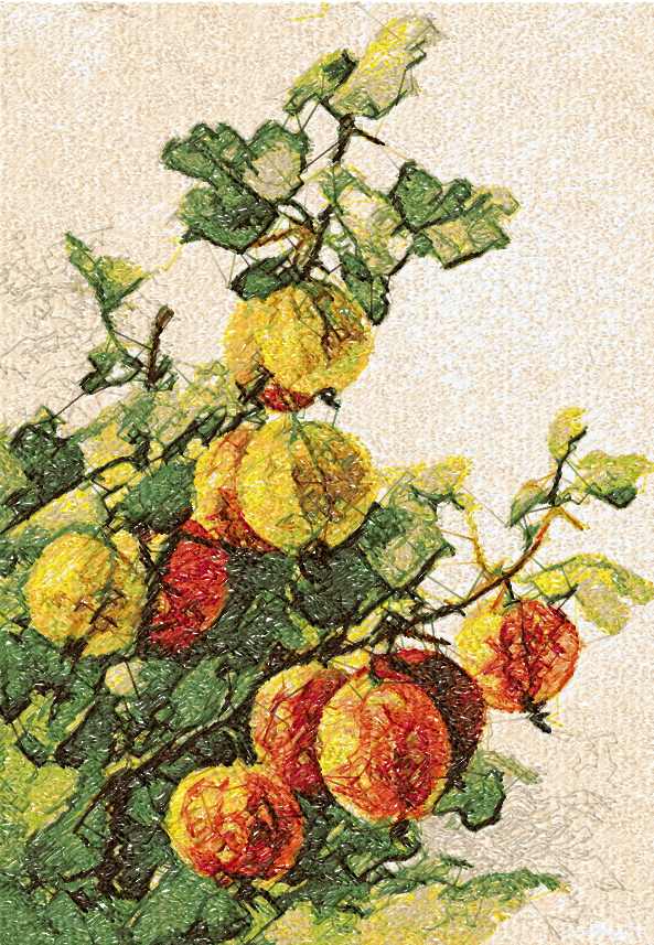 Fruit branch photo stitch free embroidery design
