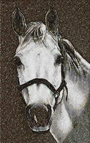 More information about "White horse photo stitch free embrodiery design"