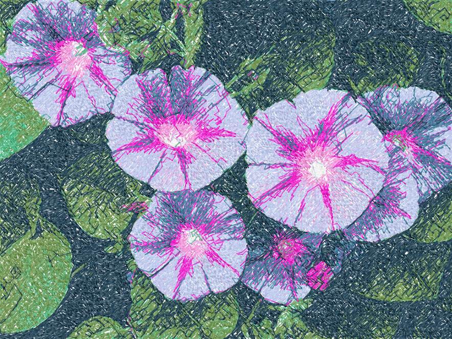 Morning glory photo stitch free machine embroidery design