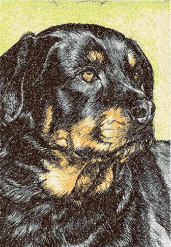 More information about "Rottweiler photo stitch free embroidery design"