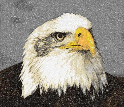 More information about "Eagle photo stitch free machine embroidery design"