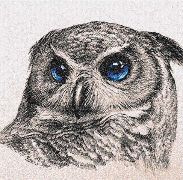  Owl  photo stitch free embroidery  design  24 Free 