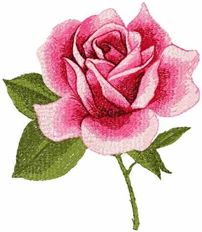Roses photo stitch free embroidery design 9 - Machine embroidery community