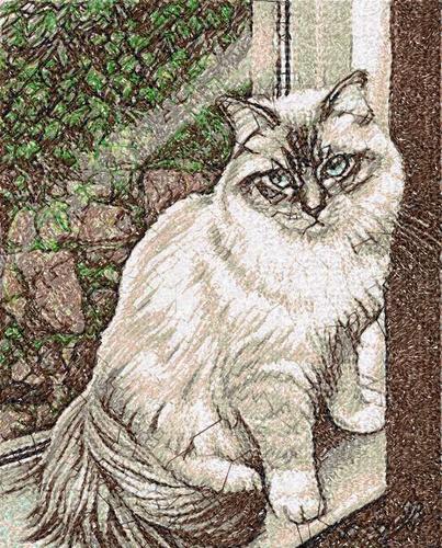 More information about "Cat photo stitch free machine embroidery design 19"