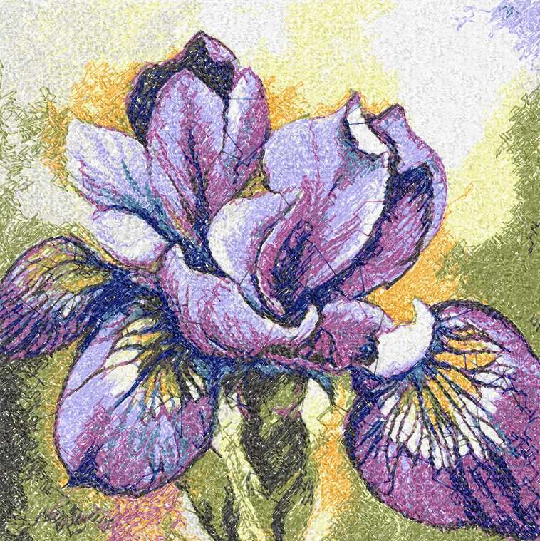 Iris photo stitch free embroidery design 3