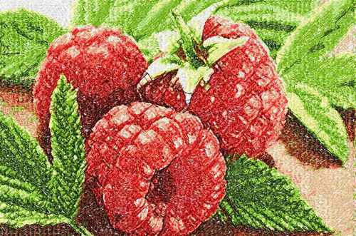 More information about "Raspberries photo stitch free embroidery design 2"