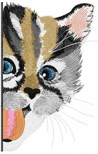 More information about "Funny kitty free embroidery design"