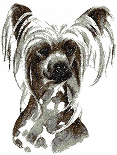 More information about "Chinese Crested Dog photo stitch free embroidery design"