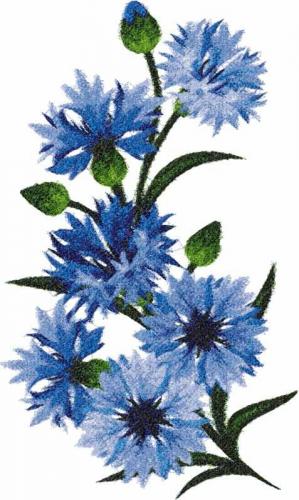 More information about "Cornflowers photo stitch free embroidery design 2"