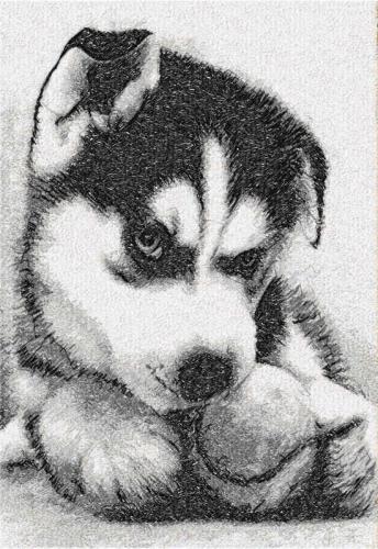 More information about "Husky puppy free embroidery design"