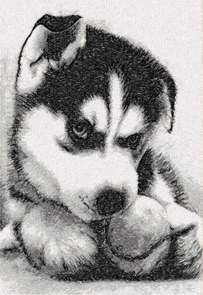 Husky puppy photo stitch free embroidery design