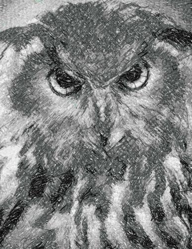More information about "Owl greyscale free embroidery design"