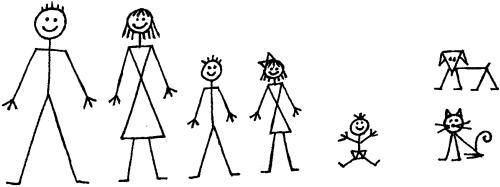 More information about "Stick Family"
