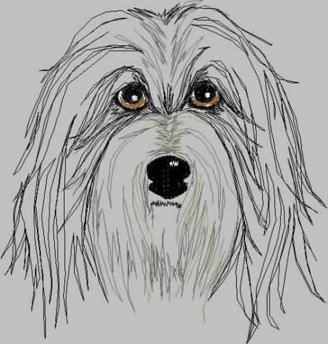 More information about "Bearded Collie free embroidery design"
