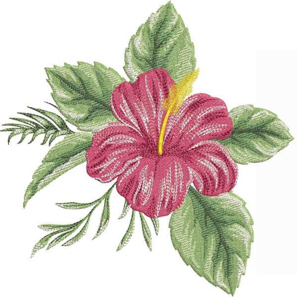 Hibiscus flower free embroidery design